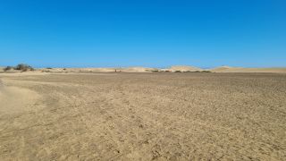2023-GC--Mapalomas dunas-S123-172.jpg